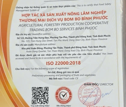 Rau Sạch An Toàn – Tươi Mỗi Ngày, Không Thuốc, Giá Tốt