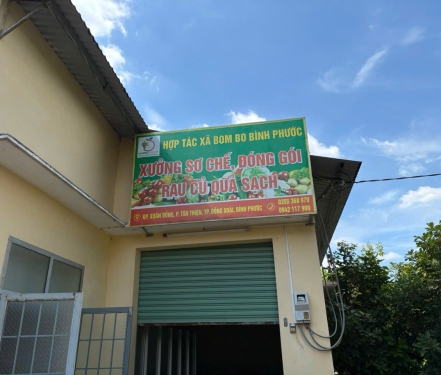 Rau Sạch An Toàn – Tươi Mỗi Ngày, Không Thuốc, Giá Tốt