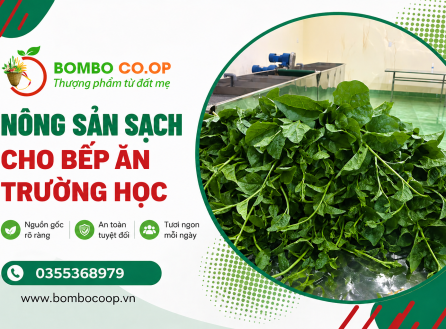 Giải Pháp Chuỗi Cung Ứng Nông Sản Sạch Cho Bếp Ăn Trường Học