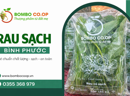 HTX BomBo đẩy mạnh cung ứng rau sạch Bình Phước, đáp ứng nhu cầu tiêu dùng và kinh doanh