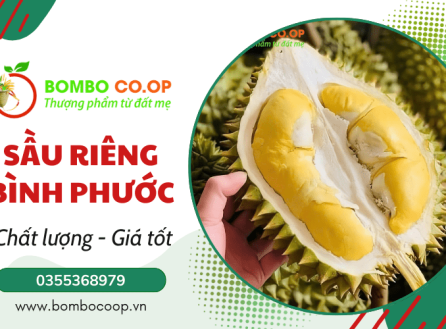 Hợp Tác Xã BomBo – Nguồn sầu riêng Bình Phước uy tín, giá tốt hàng đầu