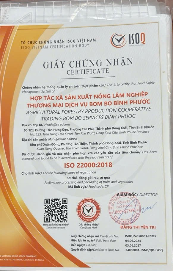 Hợp tác xã BomBo