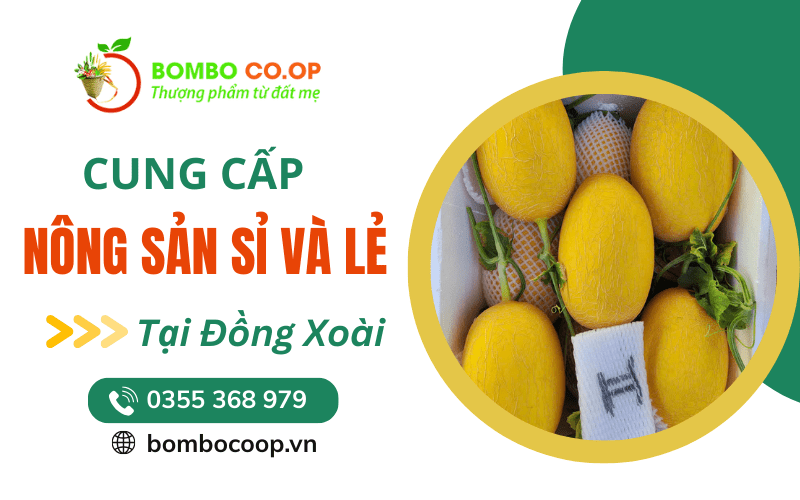 Cung cấp nông sản sỉ và lẻ Đồng Xoài