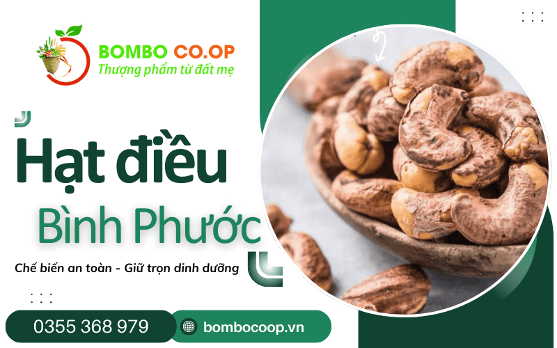 hạt điều Bình Phước