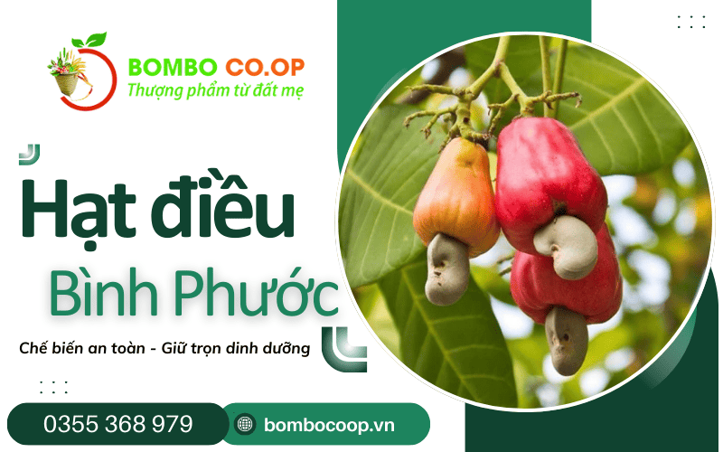 hạt điều Bình Phước
