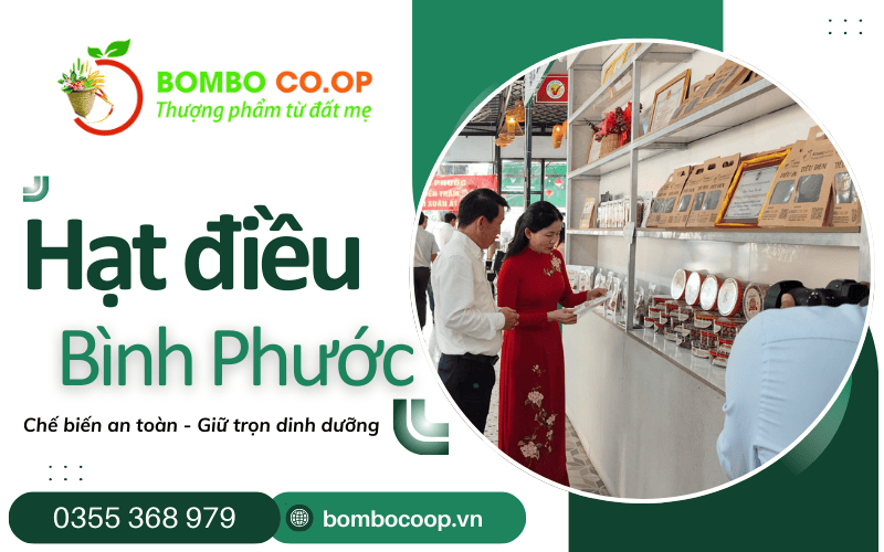 hạt điều Bình Phước