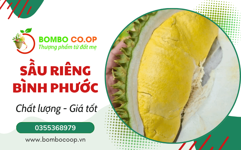 sầu riêng bình phước