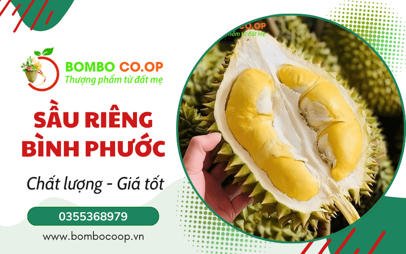 sầu riêng bình phước