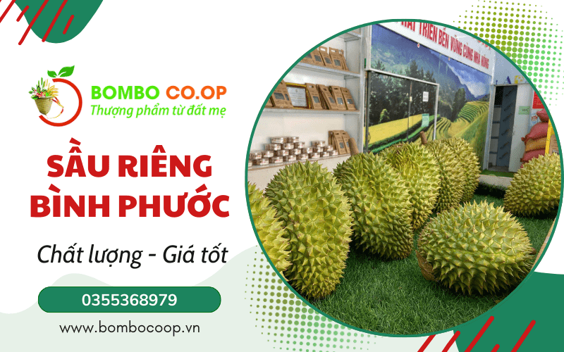 sầu riêng bình phước