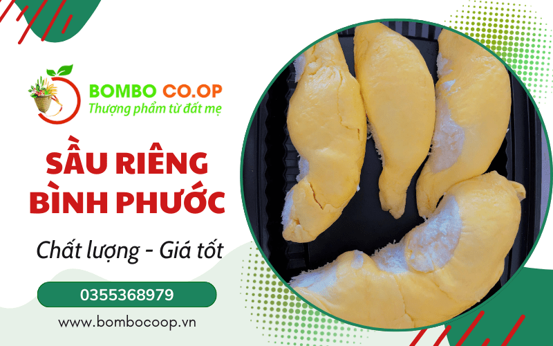 sầu riêng bình phước