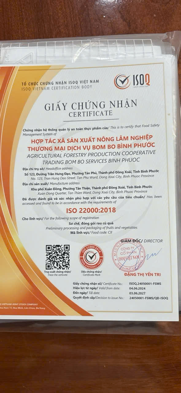 rau sạch bình phước, rau sạch đồng xoài