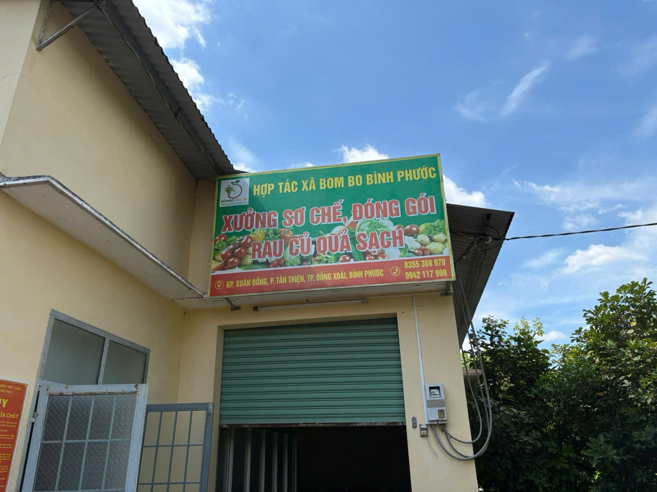 rau sạch đồng xoài, rau sạch bình phước