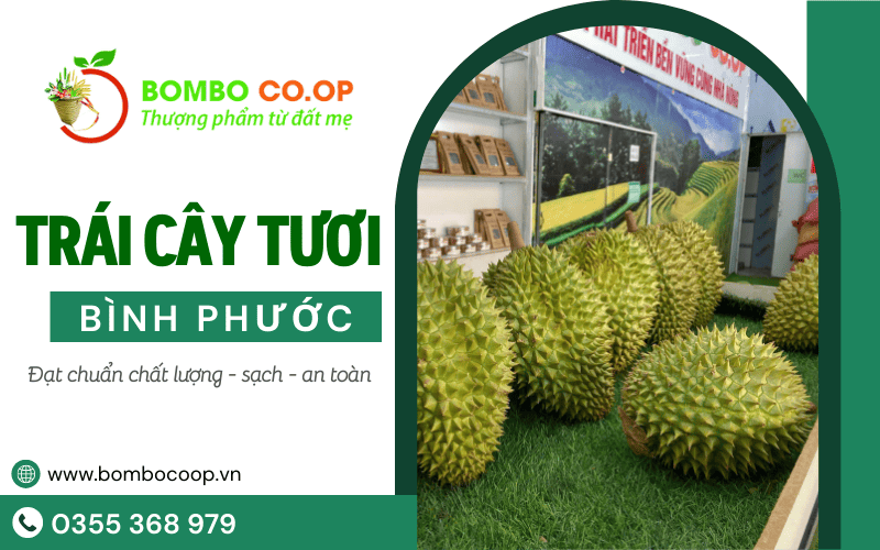 trái cây tươi Bình Phước