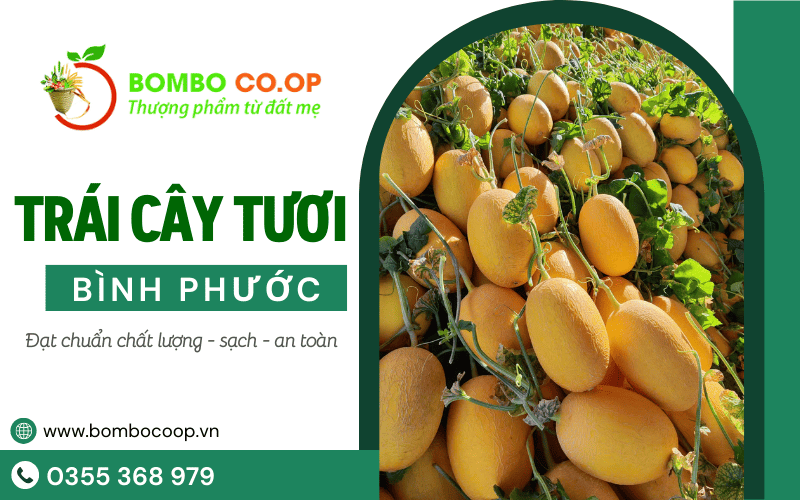trái cây tươi Bình Phước