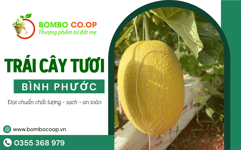 trái cây tươi Bình Phước