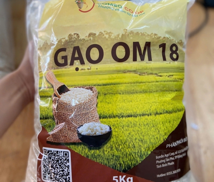 GẠO OM 18
